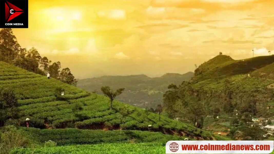 WhatsApp Image 2024-11-13 at 15.42.16